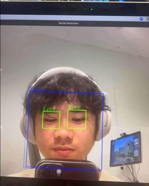 Privacy Facial Detection